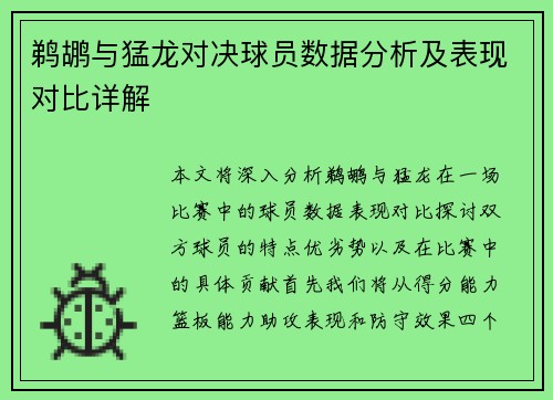 鹈鹕与猛龙对决球员数据分析及表现对比详解